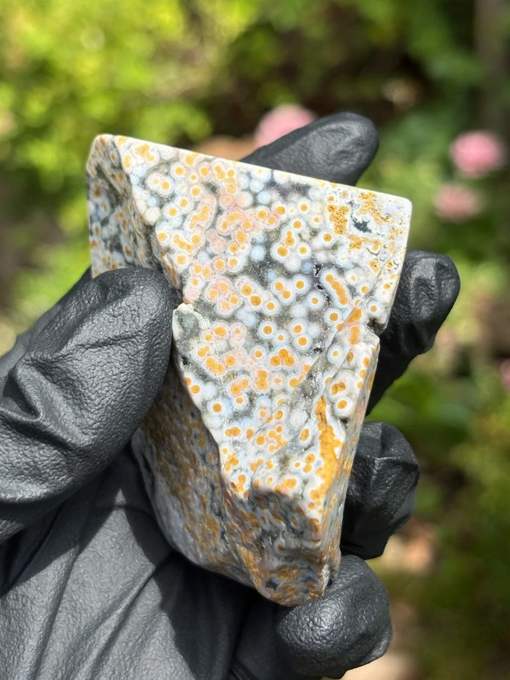 Ocean Jasper Crystal Freeform - Orbicular Jasper - Sea Jasper - Polished